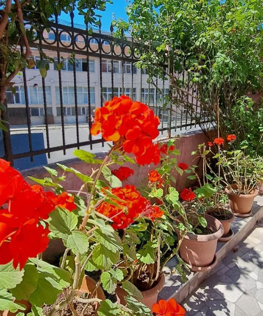 Golden Life Gl Apartment Istanbul